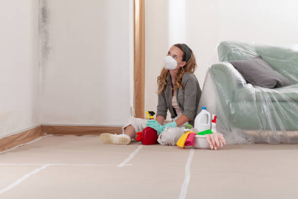 Reliable Mold Remediation contractor in Belleville, NJ by Cheap Mold Removal